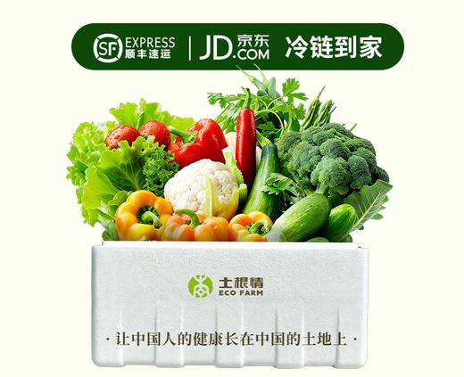 土根情生态蔬菜箱|土根情太和农场 商品图0