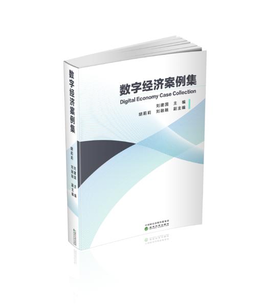 数字经济案例集 商品图0