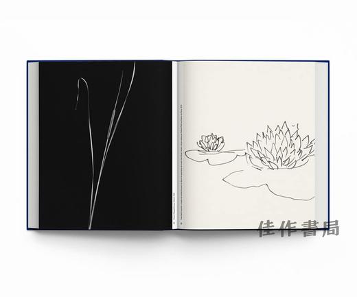 【现货】Botanical: Observing Beauty (Chaumet) / 植物志：观察美（尚美巴黎） 商品图1