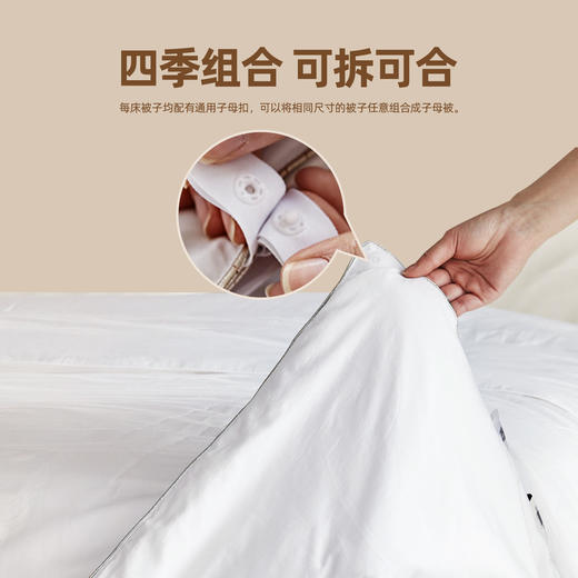 万事利低敏单人被-锦绣前程 商品图1