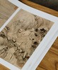 【特惠】《荣宝斋画谱：石涛 罗汉图册》，8开，平装，石涛绘，荣宝斋出版社2023年8月一版四印，定价96，售价38元。 商品缩略图9