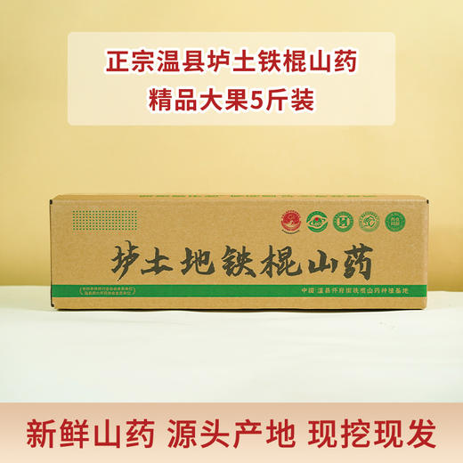 【顺丰直发】2026温县垆土新鲜铁棍山药原产地发货5斤装 商品图4