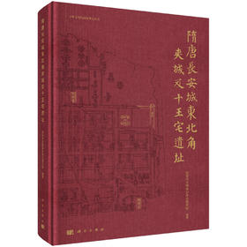 隋唐长安城东北角夹城及十王宅遗址