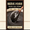 【谷物醇香 粉质细腻】硕果田间 九黑粉 多种黑谷科学配比 营养满满 400g/罐 商品缩略图5