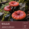 【草本蒸膏】李良济灵芝酸枣仁膏160g/瓶 商品缩略图1