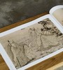 【特惠】《荣宝斋画谱：石涛 罗汉图册》，8开，平装，石涛绘，荣宝斋出版社2023年8月一版四印，定价96，售价38元。 商品缩略图5