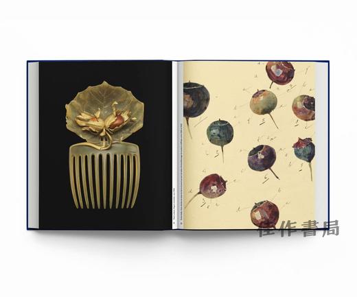 【现货】Botanical: Observing Beauty (Chaumet) / 植物志：观察美（尚美巴黎） 商品图3