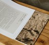 【特惠】《荣宝斋画谱：石涛 罗汉图册》，8开，平装，石涛绘，荣宝斋出版社2023年8月一版四印，定价96，售价38元。 商品缩略图3