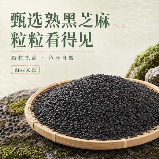 【品质看得见】循味熟黑芝麻罐装120g*2干货即食烘培干吃免洗家用炒熟可磨粉 商品图2
