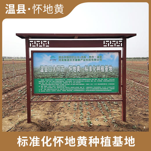 怀府街 | 九制怀地黄开盖即食 源头工厂生产拒绝熏硫肉质厚实200g/罐 商品图3