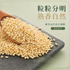 【酥香自然】循味熟白芝麻罐装120g*2干货即食烘培干吃免洗家用炒熟可磨粉 商品缩略图1