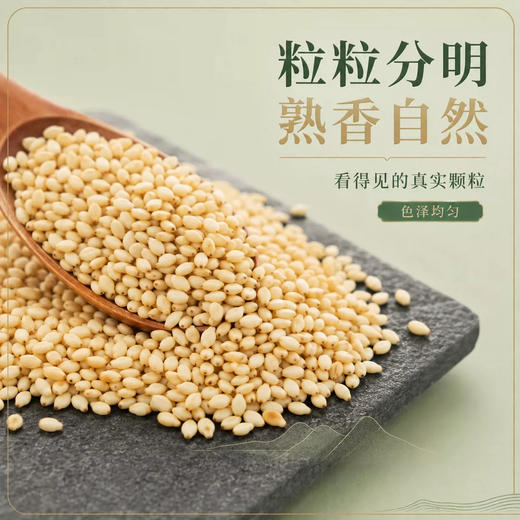 【酥香自然】循味熟白芝麻罐装120g*2干货即食烘培干吃免洗家用炒熟可磨粉 商品图1