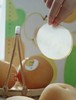 山东莱阳产日本原种【秋月梨】！水润高甜细嫩无渣！润肺去火美白纤体养颜超美味 商品缩略图6