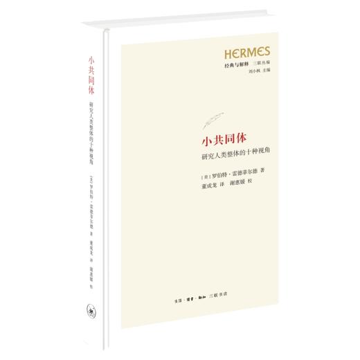 小共同体：研究人类整体的十种视角 商品图3