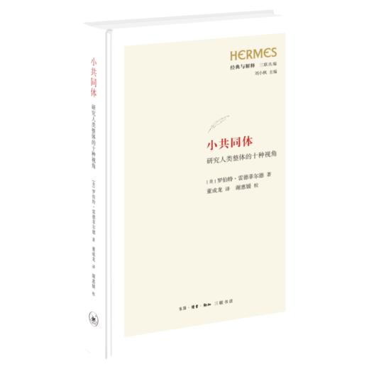 小共同体：研究人类整体的十种视角 商品图2