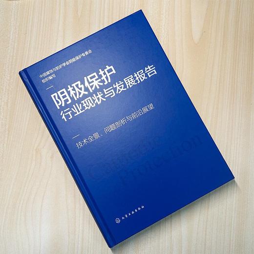 阴极保护行业现状与发展报告：技术全景、问题剖析与前沿展望 商品图2