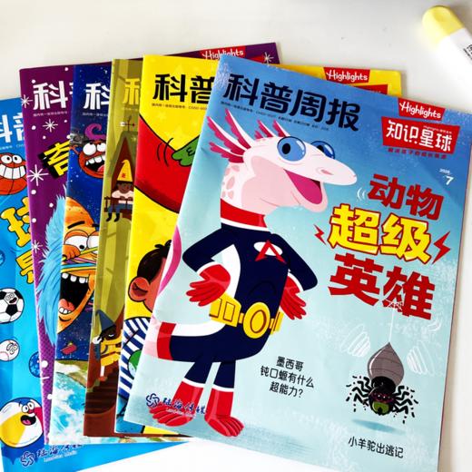 知识星球（Highlights中文版）杂志  半年/全年订阅 5-12岁科普 商品图3