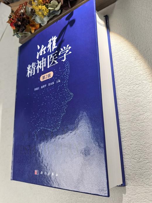 湘雅精神医学（第2版） 商品图2