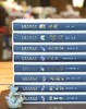 【特惠】中国石窟艺术丛书之：《榆林窟》，16开精装函套，敦煌研究院编，江苏凤凰美术出版社2024年一版八印，179页，定价320元，售价：138元。 商品缩略图13