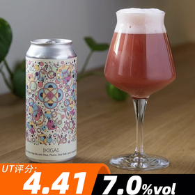 哈德逊河谷 生命意义 473ml （罐）