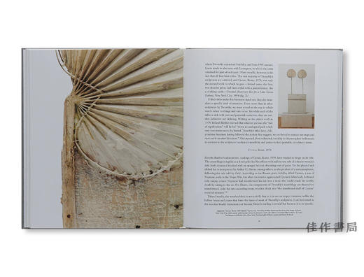 【现货】Cy Twombly / 赛·托姆布雷 商品图4
