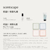 scentscape气味图书馆线香套组礼盒合集 商品缩略图1