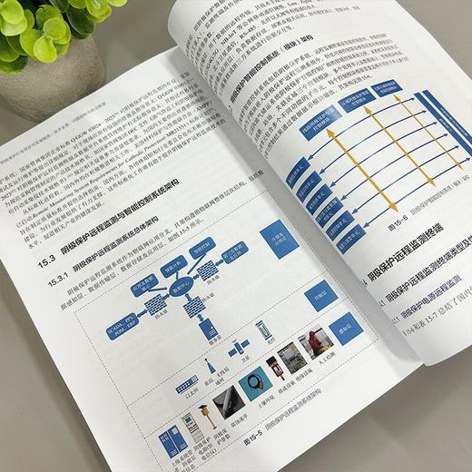 阴极保护行业现状与发展报告：技术全景、问题剖析与前沿展望 商品图3