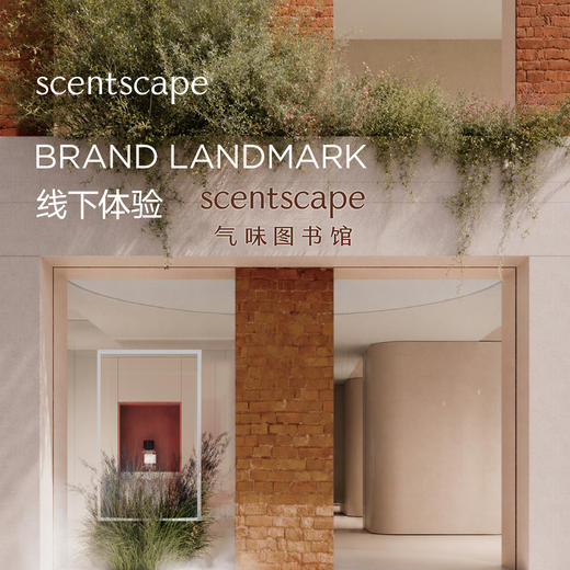 scentscape气味图书馆香氛手部精华霜50g 商品图4
