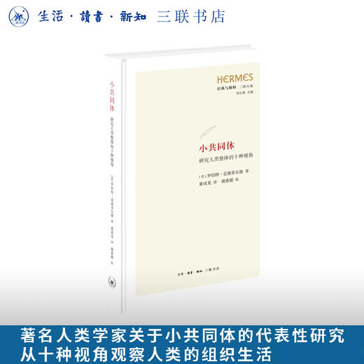 小共同体：研究人类整体的十种视角 商品图0