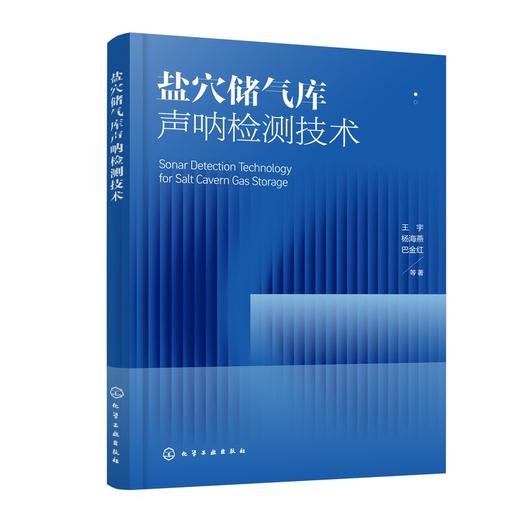 盐穴储气库声呐检测技术 商品图0
