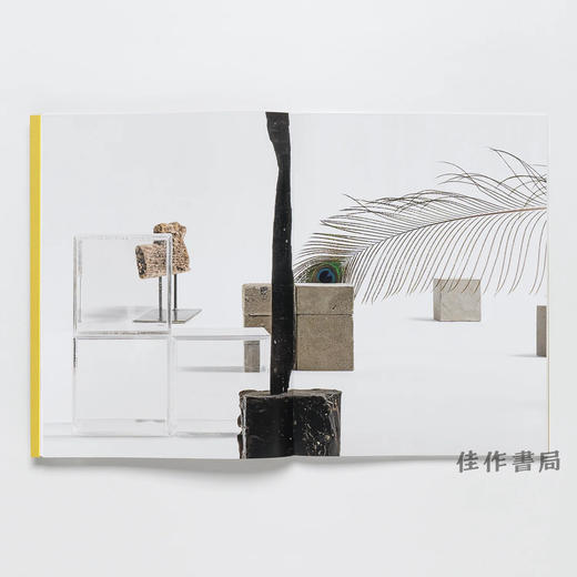 【现货】Carol Bove / 卡罗尔·博夫 商品图2