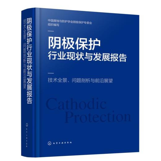 阴极保护行业现状与发展报告：技术全景、问题剖析与前沿展望 商品图1