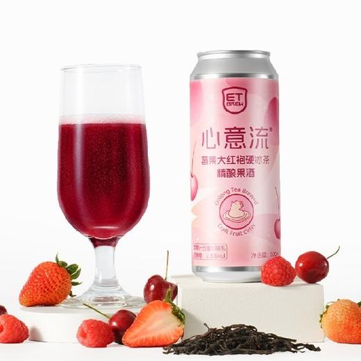 E.T 心意流 500ml 商品图0
