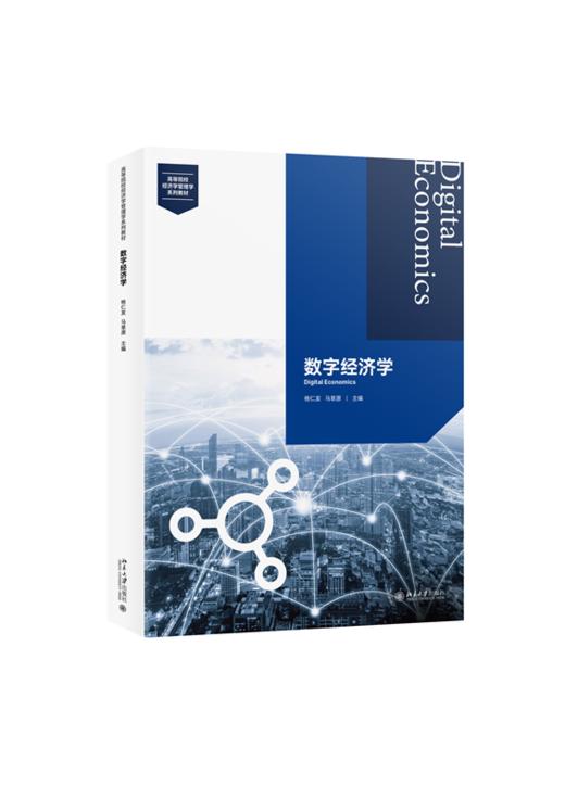 数字经济学  高等院校经济学管理学系列教材  杨仁发 马草原 主编 商品图0