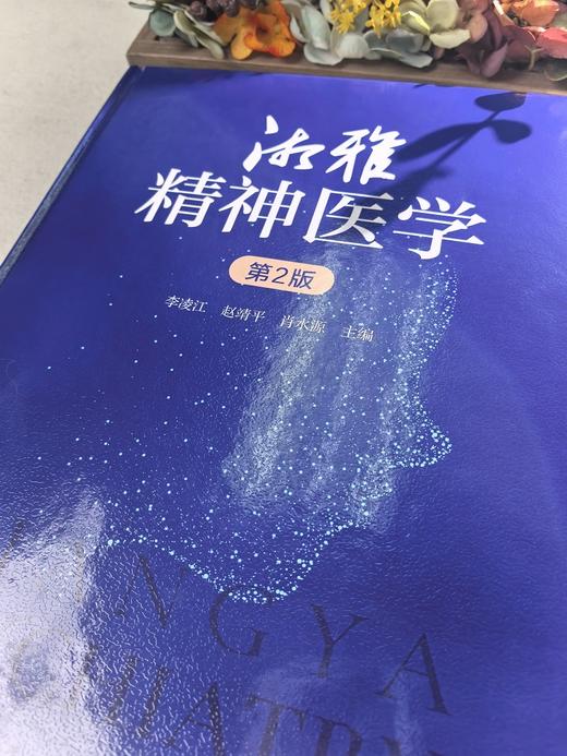 湘雅精神医学（第2版） 商品图1