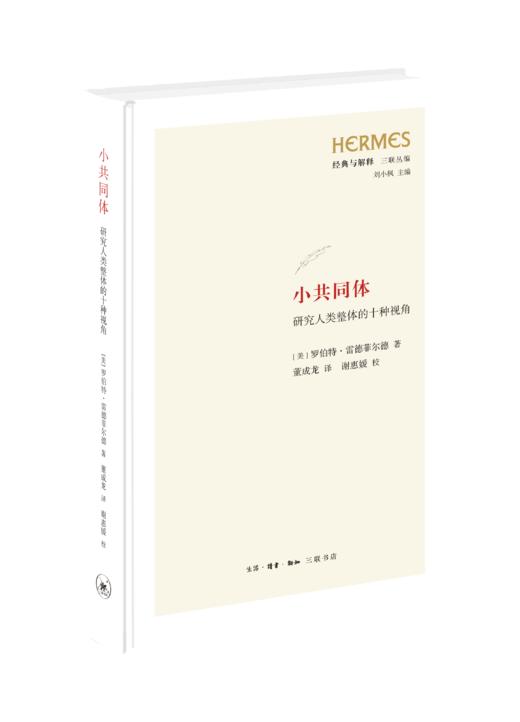 小共同体：研究人类整体的十种视角 商品图1
