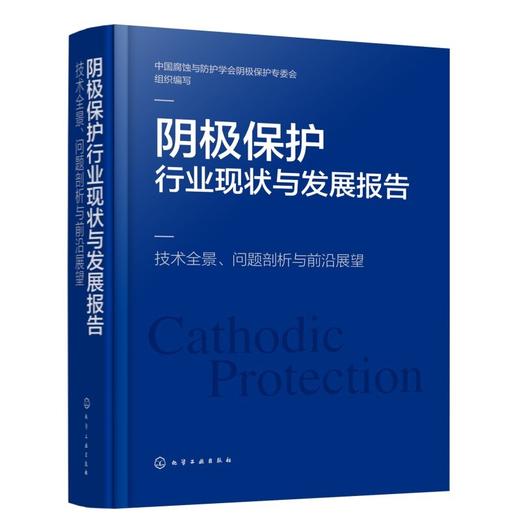 阴极保护行业现状与发展报告：技术全景、问题剖析与前沿展望 商品图0