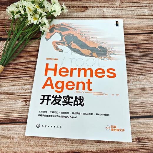 Hermes Agent开发实战 商品图2
