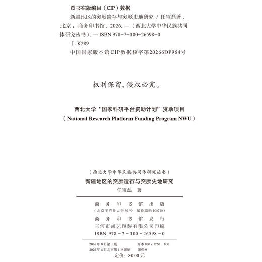 新疆地区的突厥遗存与突厥史地研究(西北大学中华民族共同体研究丛书) 商品图1