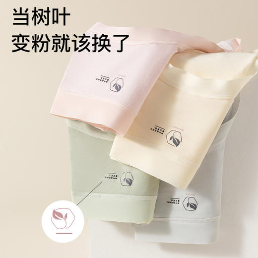 【加长内裆 透气不闷】蔓朵奇 莫代尔女士内裤 无痕包边设计 单利舒适不勒腰不卷边 商品图1