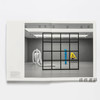 【现货】Carol Bove / 卡罗尔·博夫 商品缩略图1