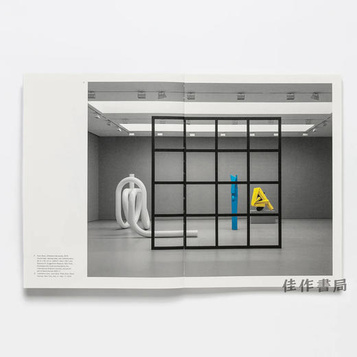 【现货】Carol Bove / 卡罗尔·博夫 商品图1