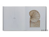 【现货】Cy Twombly / 赛·托姆布雷 商品缩略图2