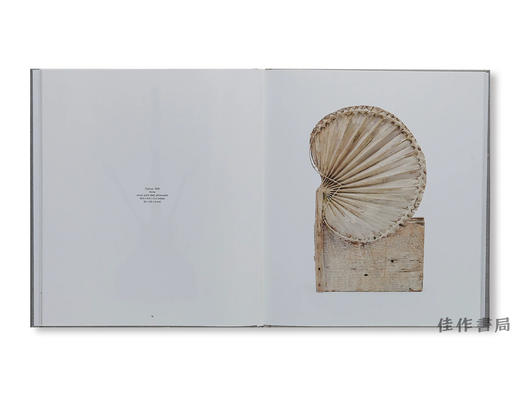 【现货】Cy Twombly / 赛·托姆布雷 商品图2