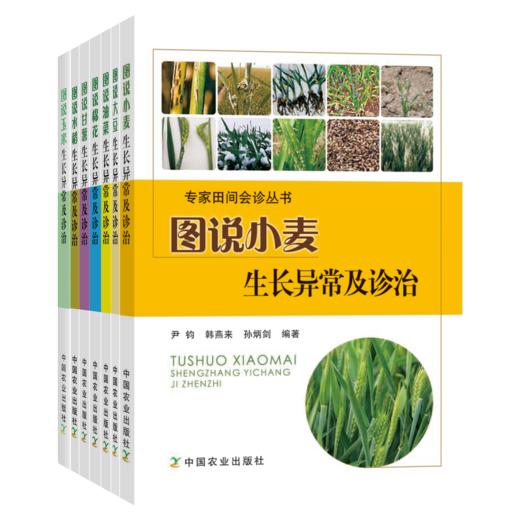 专家田间会诊丛书【图说....生长异常及诊治系列 商品图0