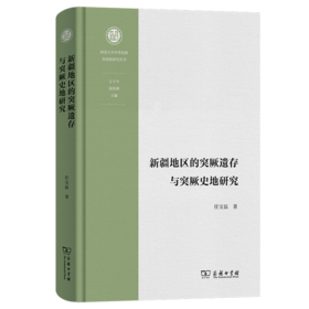 新疆地区的突厥遗存与突厥史地研究(西北大学中华民族共同体研究丛书)