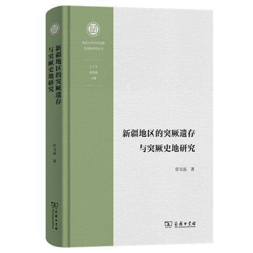 新疆地区的突厥遗存与突厥史地研究(西北大学中华民族共同体研究丛书) 商品图0