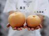 山东莱阳产日本原种【秋月梨】！水润高甜细嫩无渣！润肺去火美白纤体养颜超美味 商品缩略图7