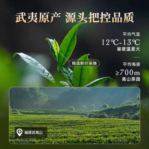 华祥苑-大圆罐武夷山肉桂水仙大红袍256g岩茶大罐装（送品鉴） 商品图7