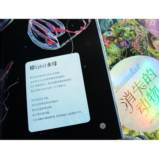 套装 神奇动物在哪里 5册函套版 挪威文学国际推广基金会资助推荐 商品图4